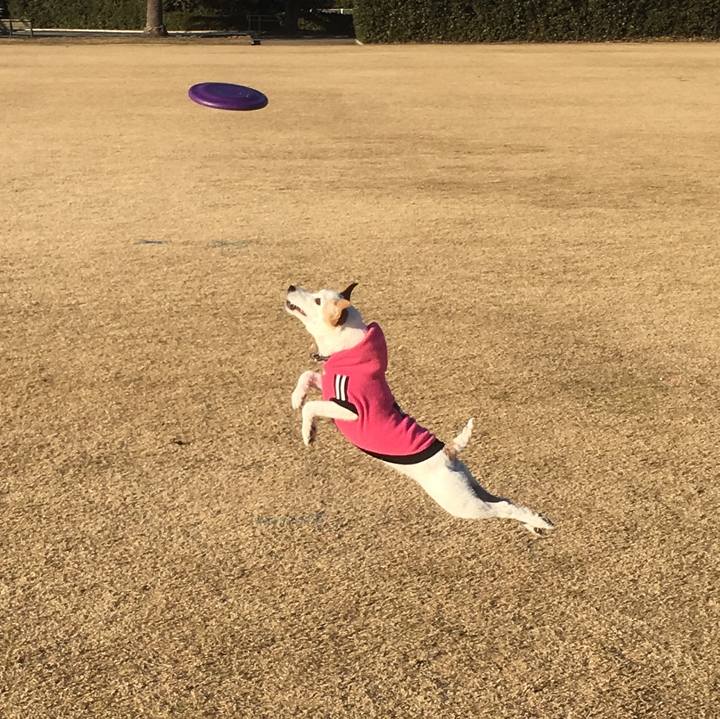 Cc3dbb2c ef01 4152 91ab 1ab2bc531117