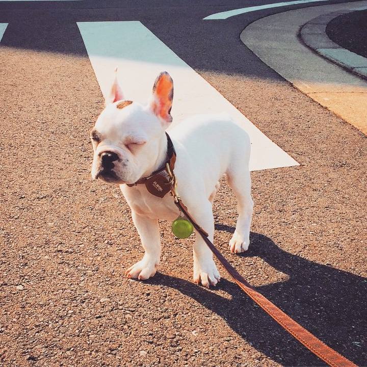 Cc3dd02b 1540 430b b23b 289d09761df5