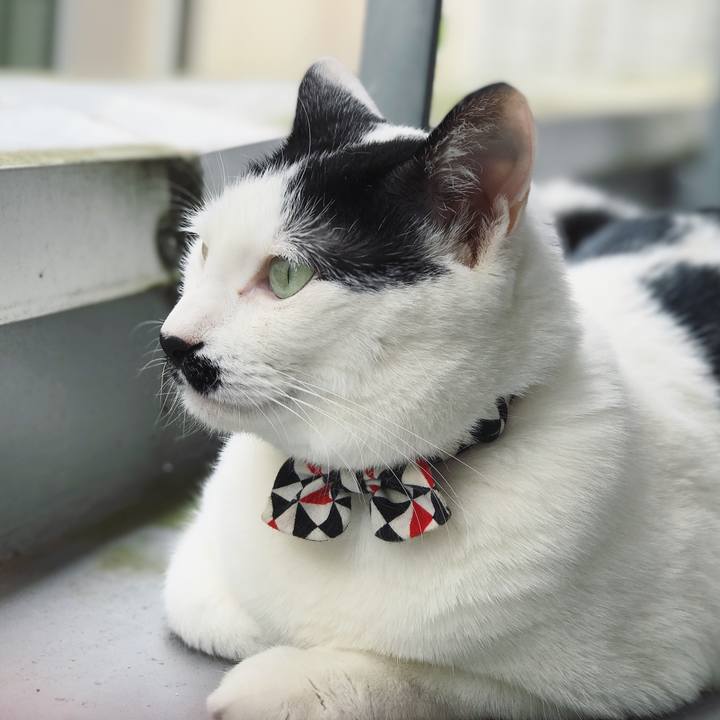 Cc3e508e cdd9 468f 82f5 f5376f331cda