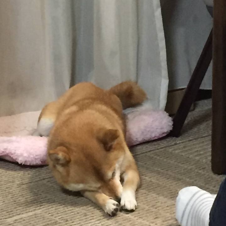 Cc3ec407 2b5a 4c67 8bb6 23f3eff9f8dd