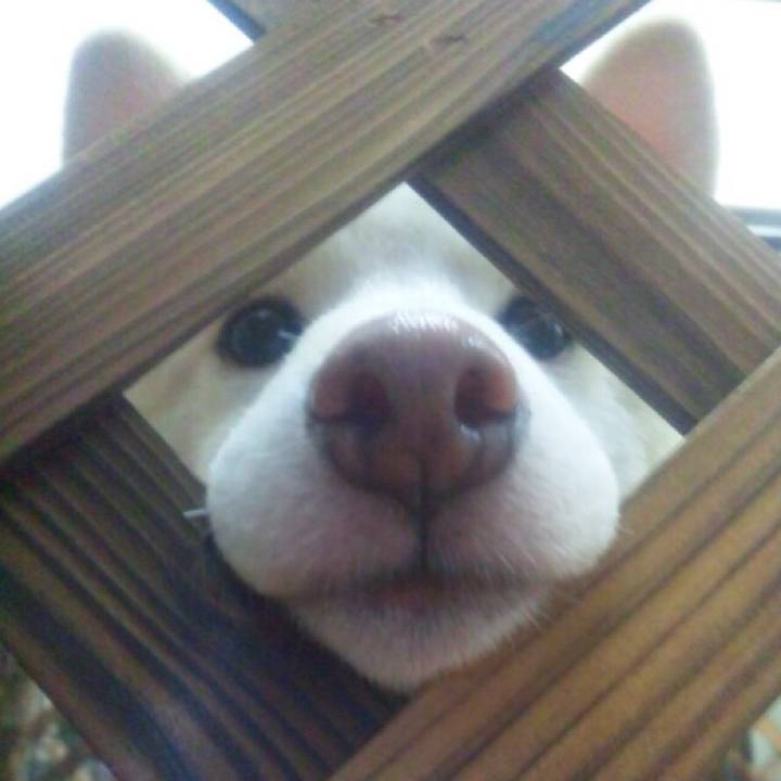 Cc3ee114 cbc9 4674 bdcb abb07a22554f