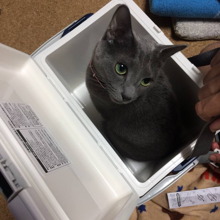 Cc403003 b907 4ac1 a5e1 d9365fb0d143