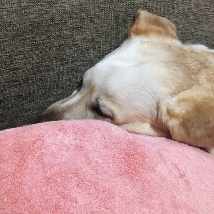 Cc4099bc a402 48a0 b701 5d41b5a501f6