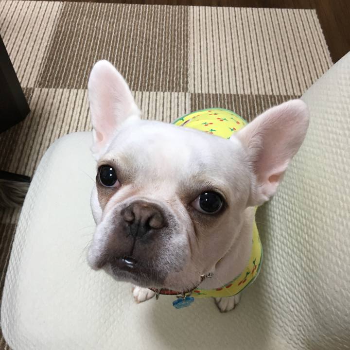 Cc40ee5c 47bf 4546 8279 fca3e1640203