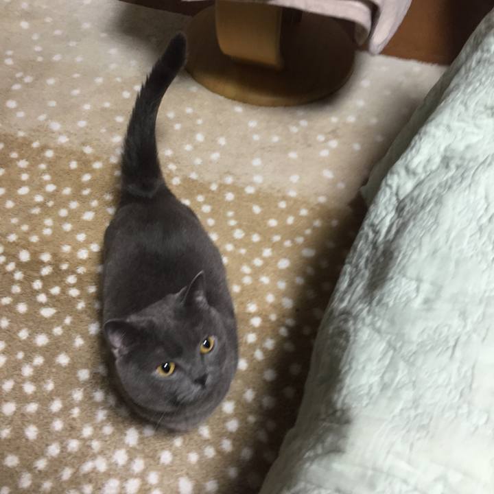 Cc40eea2 f92e 4eb8 aeb4 229497f5a022