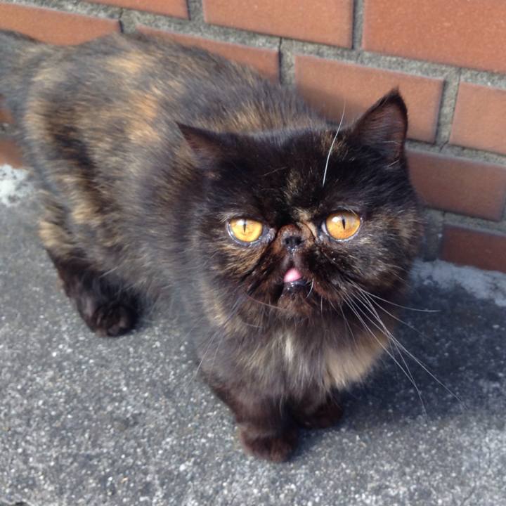 Cc414722 71d3 4550 a2ea bfe8cb9d37d3