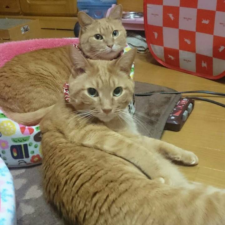 Cc419ec9 d5cd 4768 b58c 1bf2af094e26