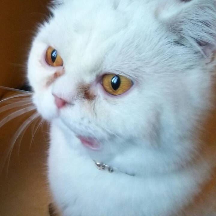 Cc41e313 964a 4e58 9b8f ce26332746f3