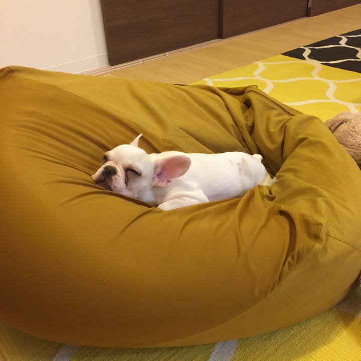 Cc420db9 85b7 4165 9cd3 293f6813625e