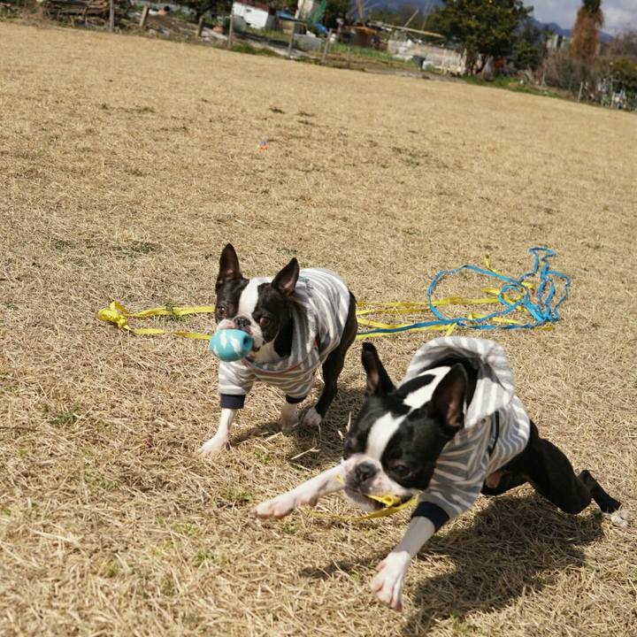 Cc422fce f62d 4921 841c ebe09ac50059