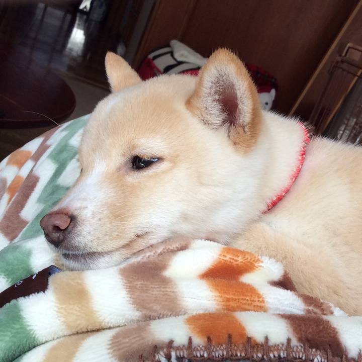 Cc424e5d 5b6b 4b9a b9c5 7d4d71210b6d