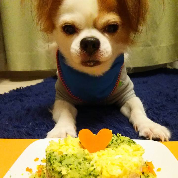 Cc432034 f7f5 4003 b966 c0c28fb51521