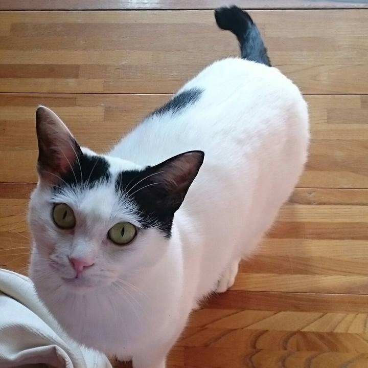 Cc433c21 00d6 46b2 bfe5 e9b3b0ccc356