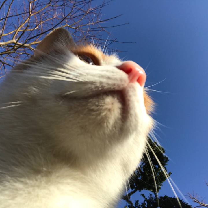 Cc4396fc 75e7 423d ac76 ebb510d76a03