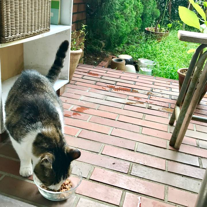 Cc44cff7 d467 481e 9b65 5a47f3a71c0b