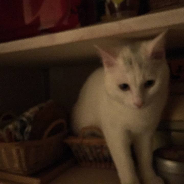 Cc452190 1ad8 4ee8 9011 484f6d17a66c