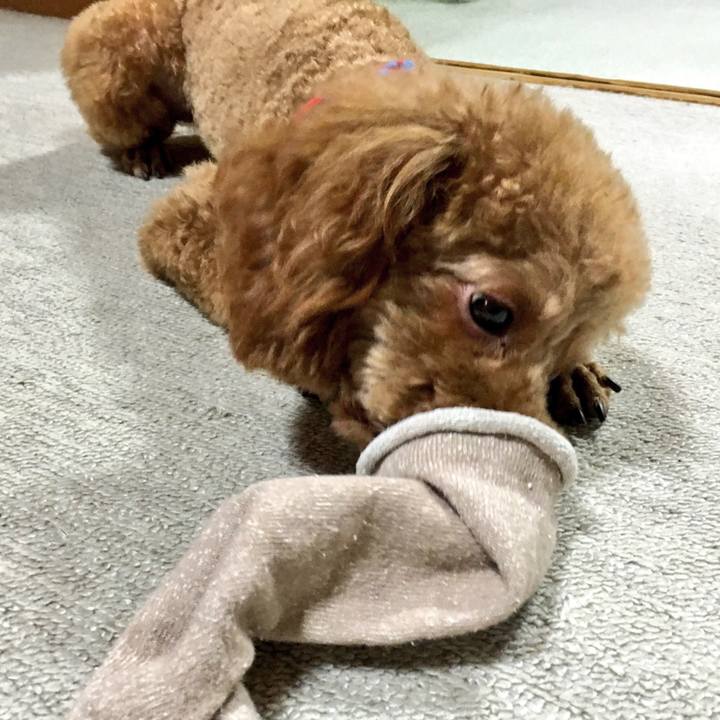 Cc46c1d6 0087 4e42 8930 251eddca9cc9