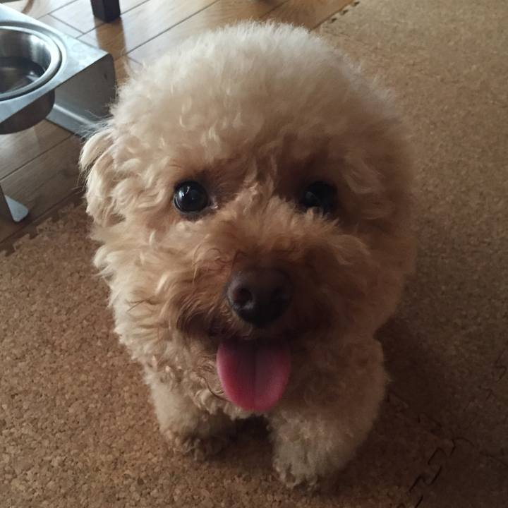 Cc46e4d7 6c30 4b65 a588 f950c48935a9