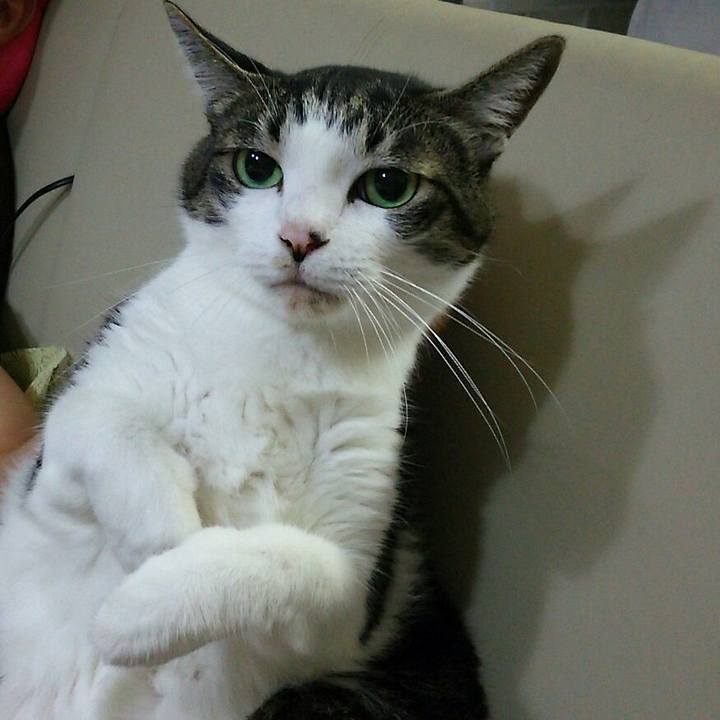 Cc476ec4 8841 4b61 8148 25c7515bc7b4