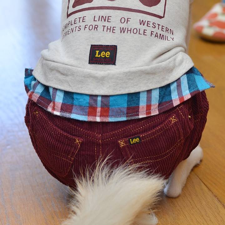 Cc47a2eb 50f4 450e 890c 418a40e46c95