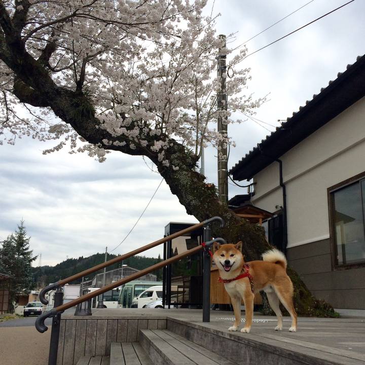 Cc47c054 b2e9 4ae7 abbc 2d0d484b338a