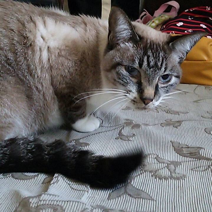 Cc4836bf 9347 4b47 ac03 4c9a349470d6