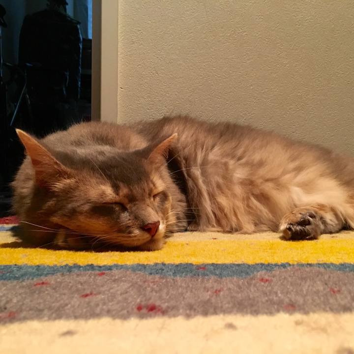 Cc495304 592a 4ade b944 a15a9225f859