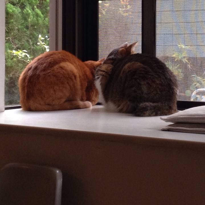 Cc496694 037c 43fd a4cd ab971d8f001b