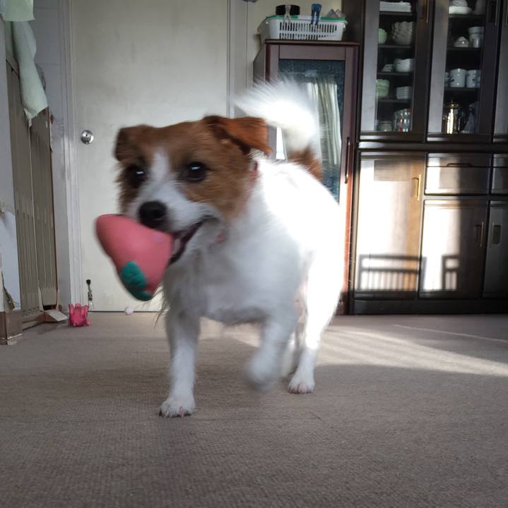 Cc498e7a 0670 4d5a 8f75 4a3f46ee3436