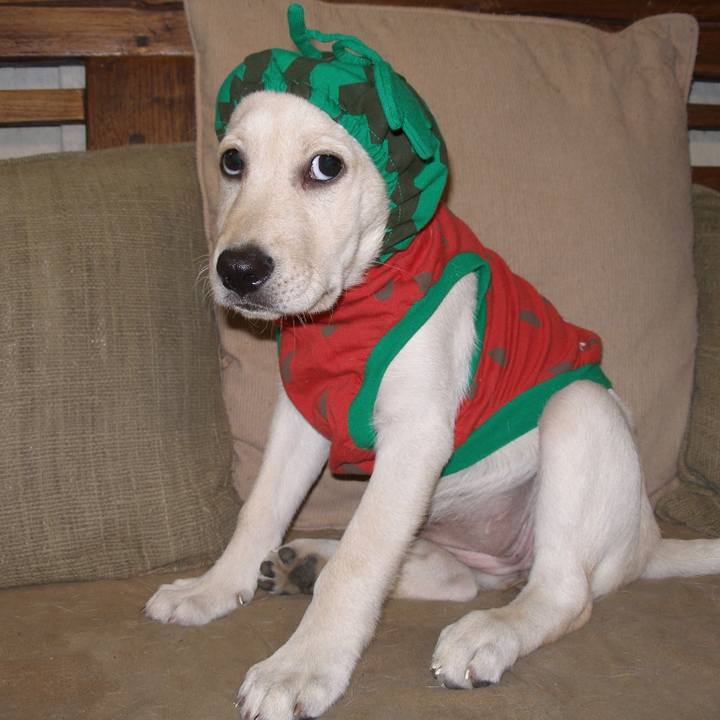 Cc4a8501 a75a 48db 84ae 76440d3c615a