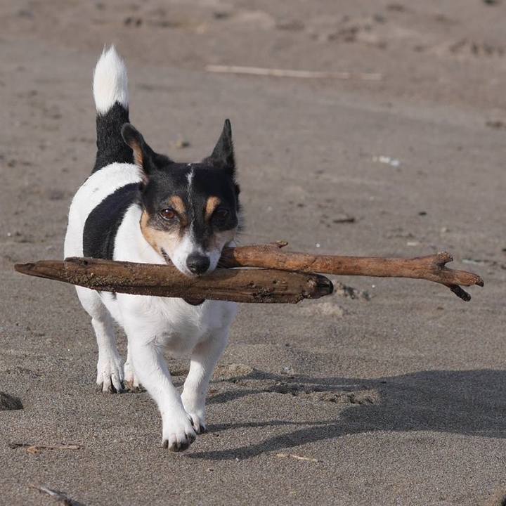 Cc4a8c0d 8f36 4b34 9cca 5e58f52c6f61