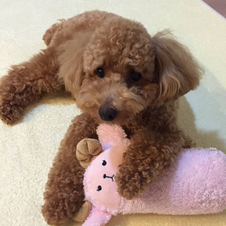 Cc4a8d59 64ce 451e 86a0 abd80af6186a