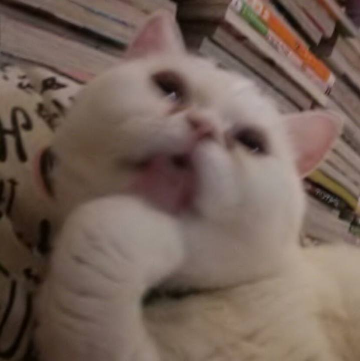 Cc4b7c13 020e 49fa bf53 54e8189e67f1