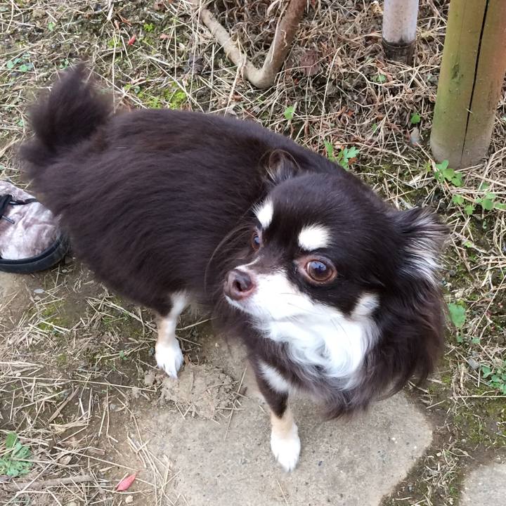 Cc4b87f6 9597 4ede 84c4 5e3d893d8158