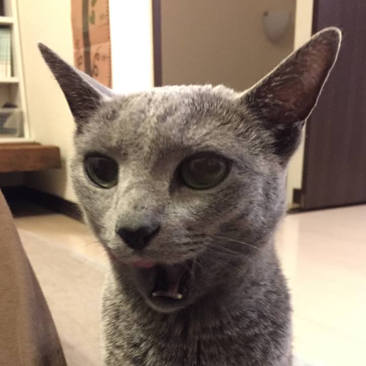 Cc4ba910 f989 4e74 9cc5 979b4a164f11