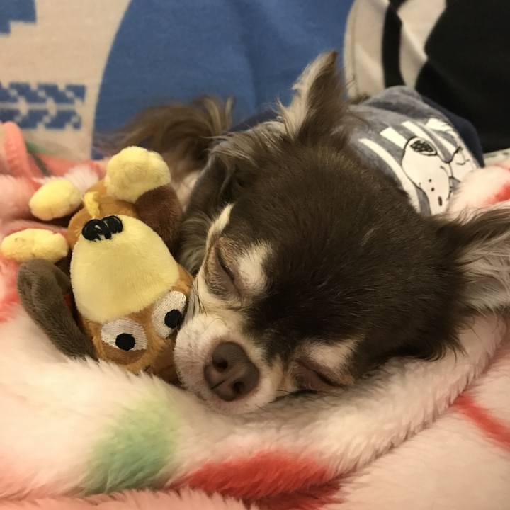 Cc4c0769 3453 43f2 b357 26543324e0f6