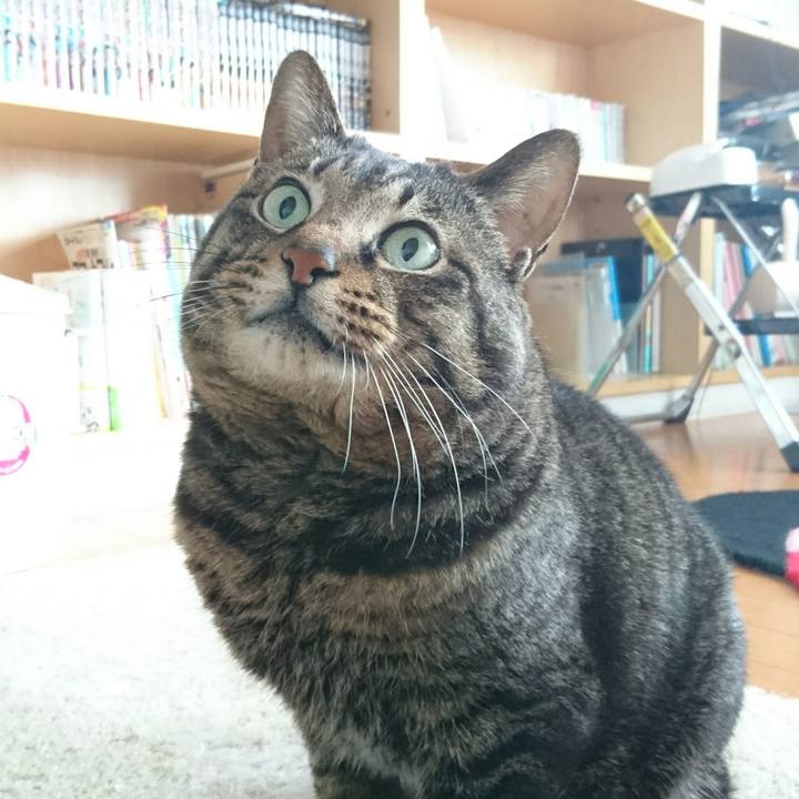 Cc4c748c bb00 4922 a458 296a65f0bfad