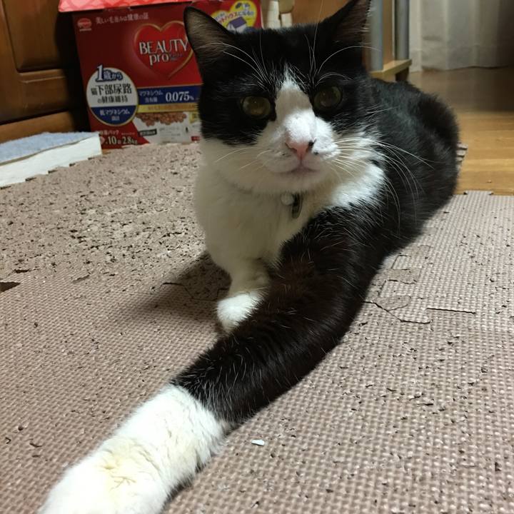 Cc4ca7fa 5144 4bbb a3aa b2ed02007a6b