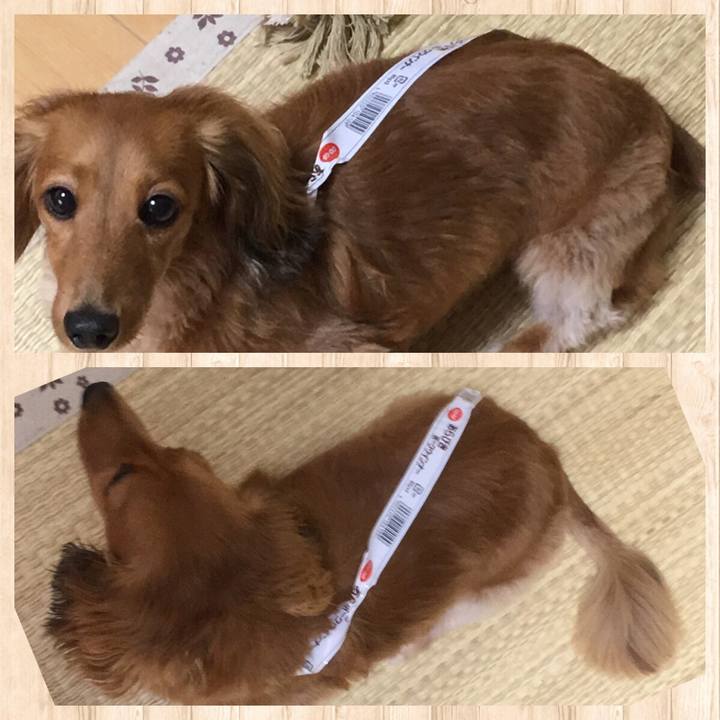 Cc4d4b48 ddba 4172 b03f dca765855baf