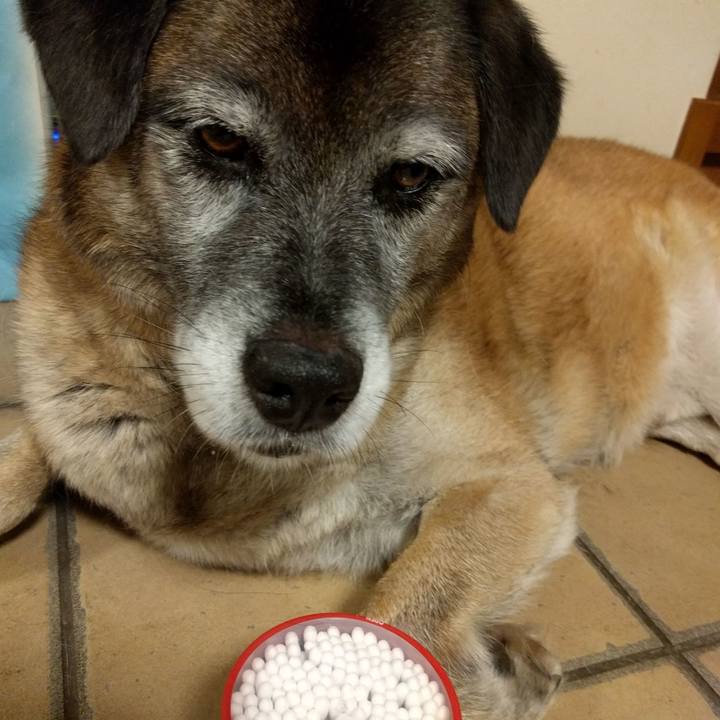 Cc4d6eeb 3635 45fe 82c4 4152cac7032b