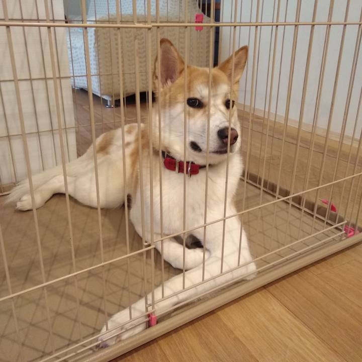 Cc4e2ca0 4757 4dea 83db a3fa17ab6532