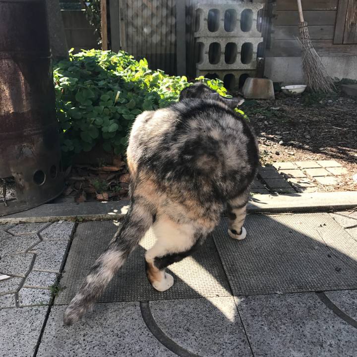 Cc4e6018 1933 4e2f 9c69 f9ffad403e8f