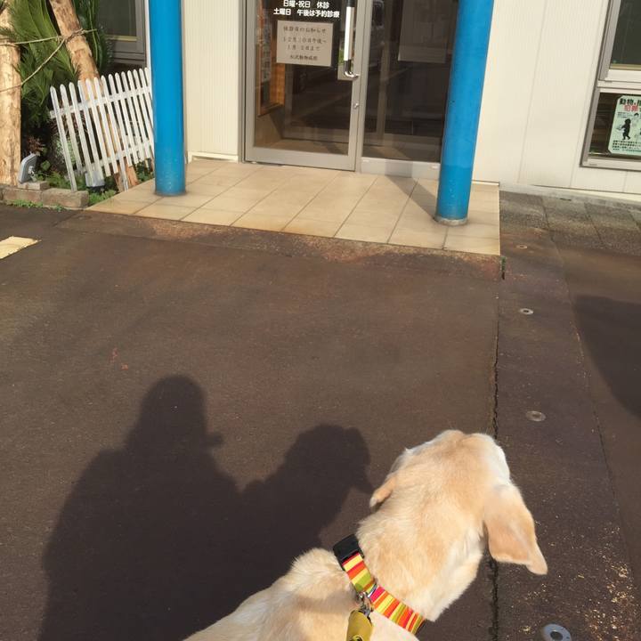 Cc4ebe87 314a 481b 86de 18a317129b86