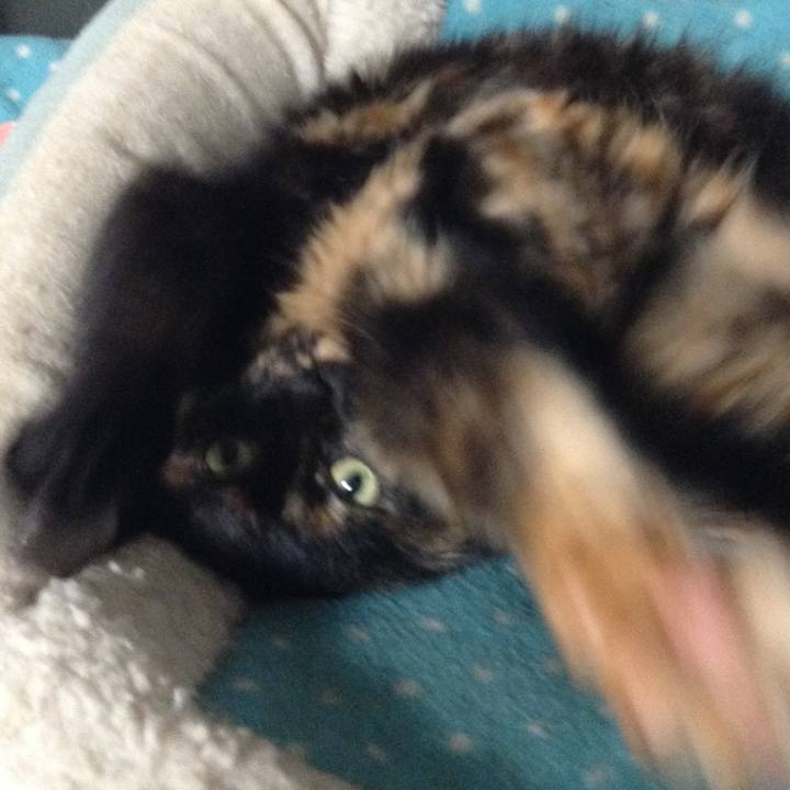 Cc4ed161 cfed 4be6 9140 3fc58e827e28