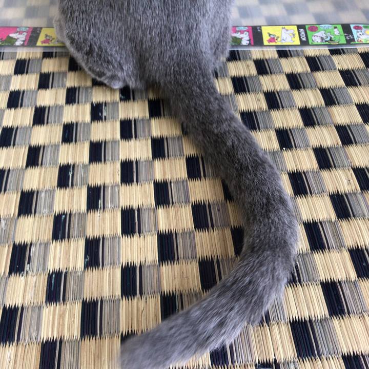 Cc4ef119 b291 47f0 9f7f e1fe62d43799