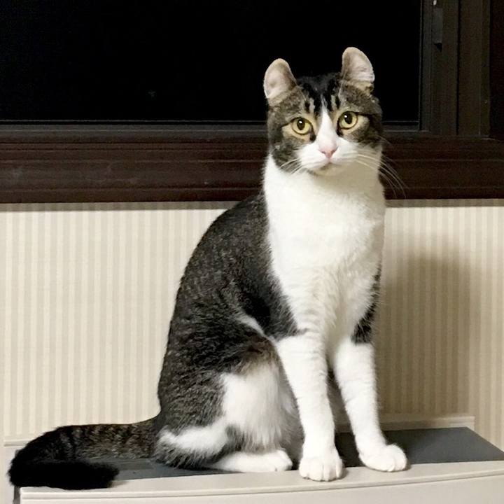 Cc4f2aac ad4c 45e0 a8c3 934d9cdfd1fa