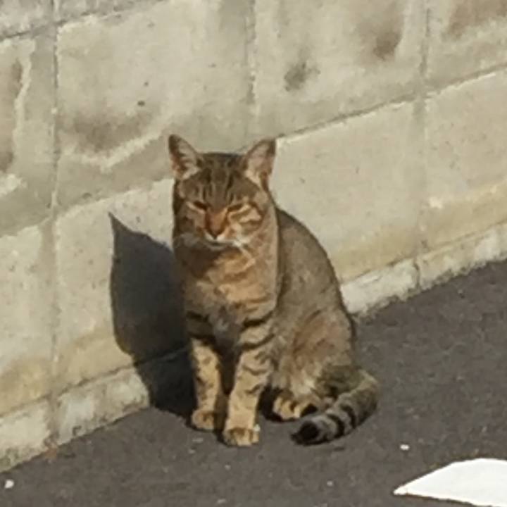 Cc4f4621 7378 40f6 b00a 6d9fc036ce08