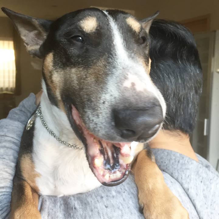 Cc4f8ac9 76b5 47cf 9907 9a14930421b2