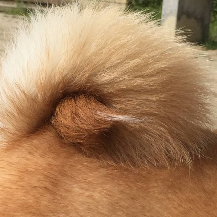 Cc4fd160 762c 4cdc 9060 2d8d57b417ca