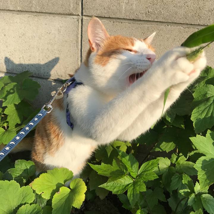 Cc4fe5c6 b1d9 4fda a831 23d3ed7d2b7c